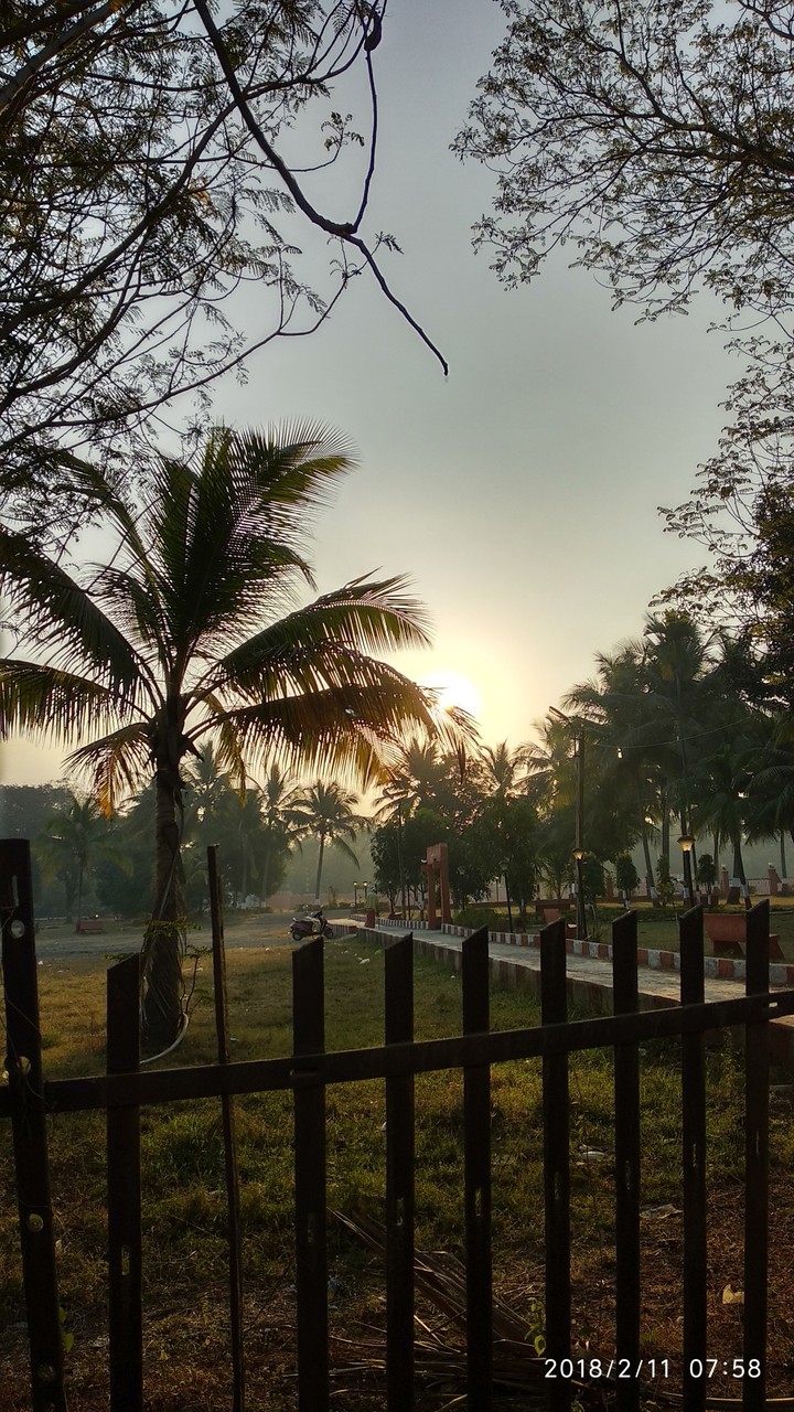 Morning Sun shine