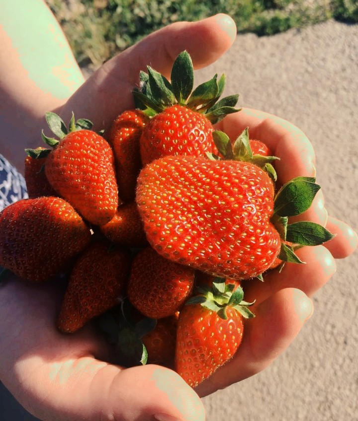 strawberry