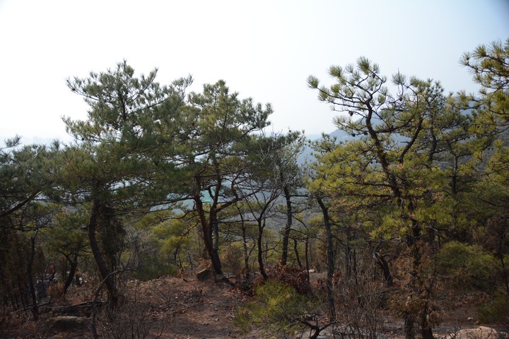 관악산의2월이미지