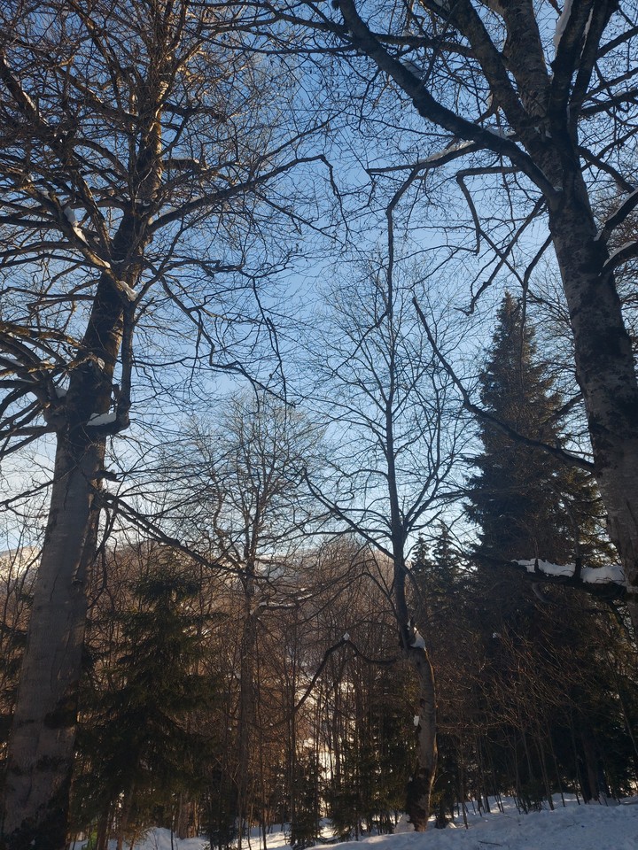 winter
