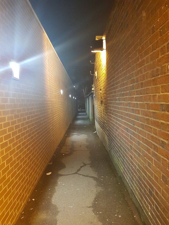 Path