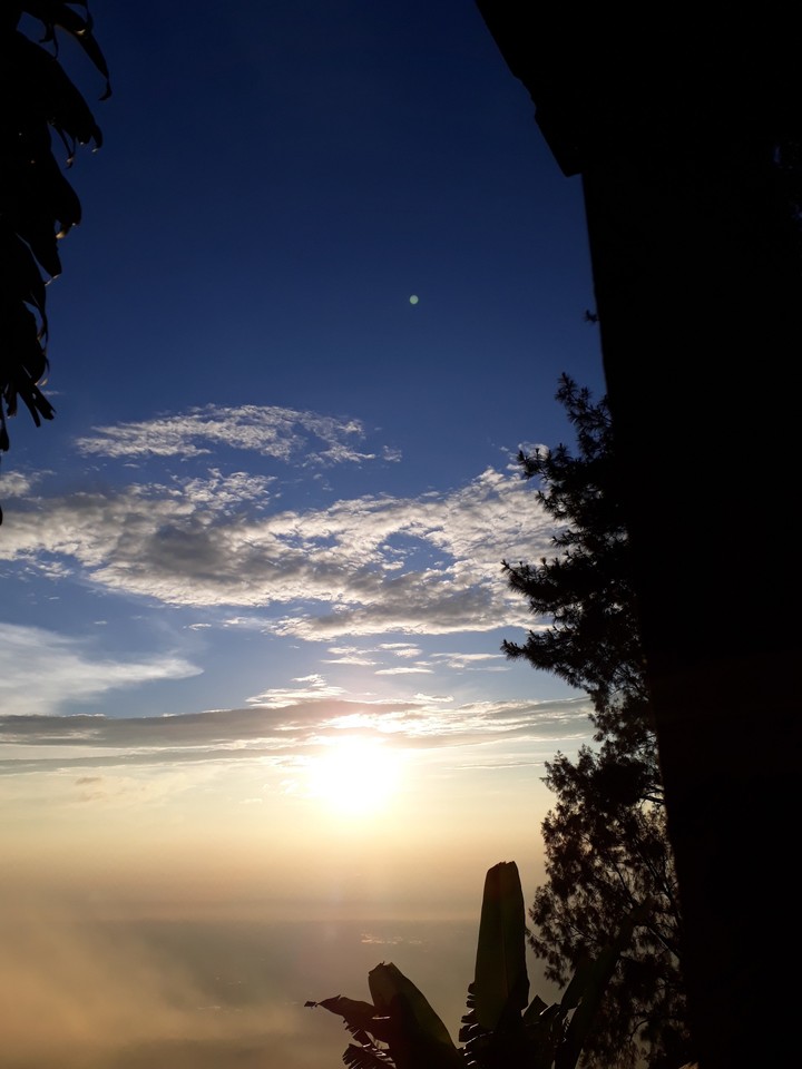 lanscape