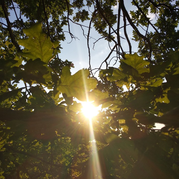 sunny
