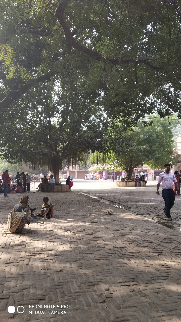 inside BHU(Banaras Hindu University) in Varanasi