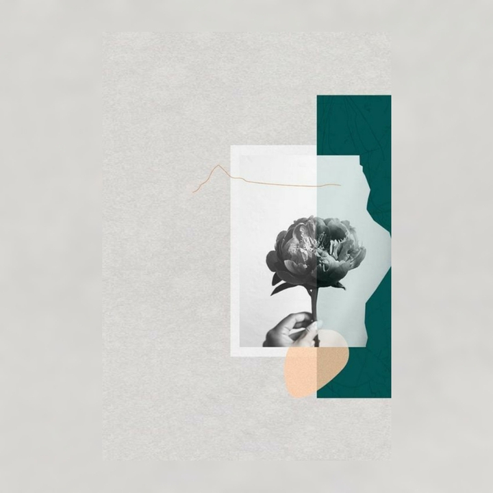Rose letter