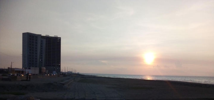 atardecer, flor, sol