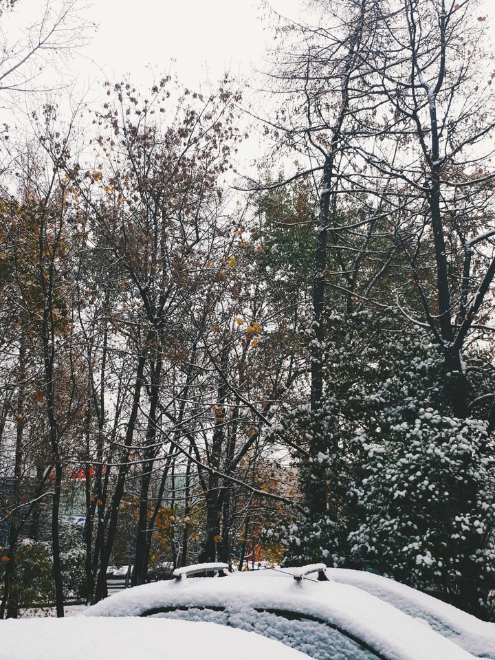 зима