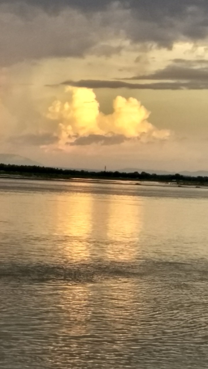 palash