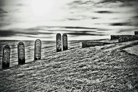 landschap