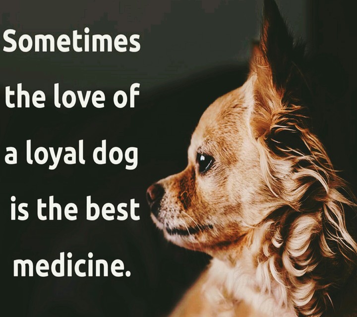 love is the best medicine