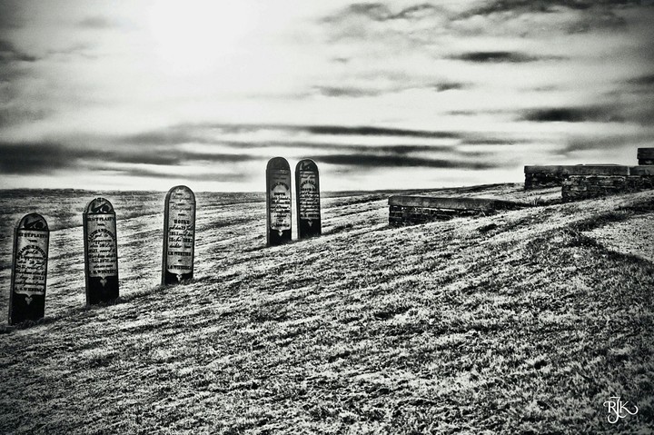 landschap