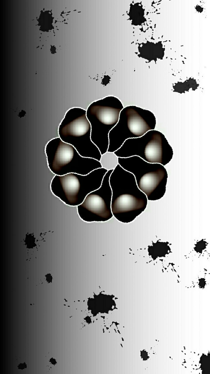 Artistic flowers 238
