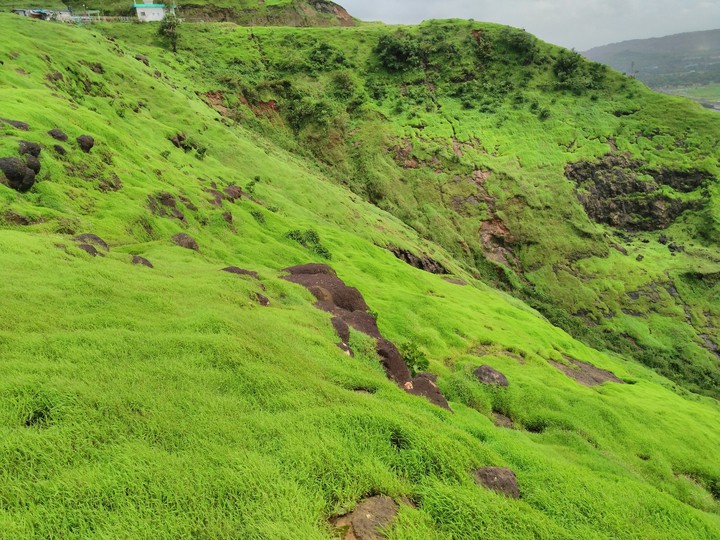 Green Mountains