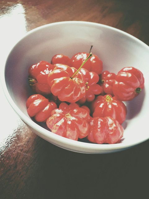 Pitanga