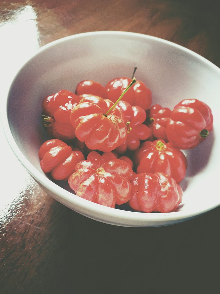 Pitanga