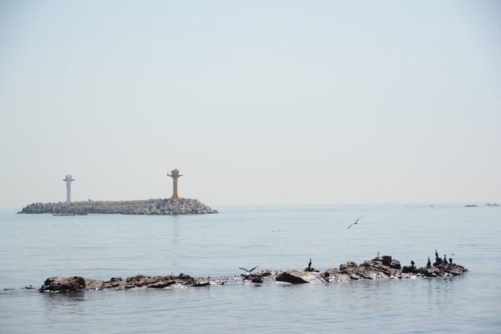 기장이미지