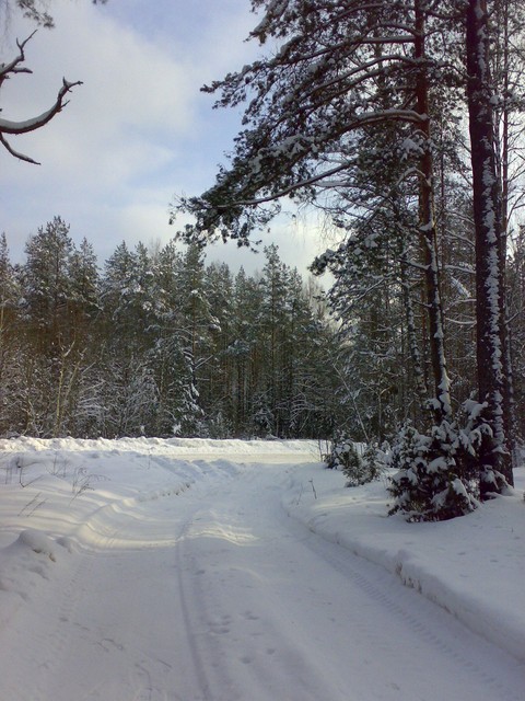 The realm of winter