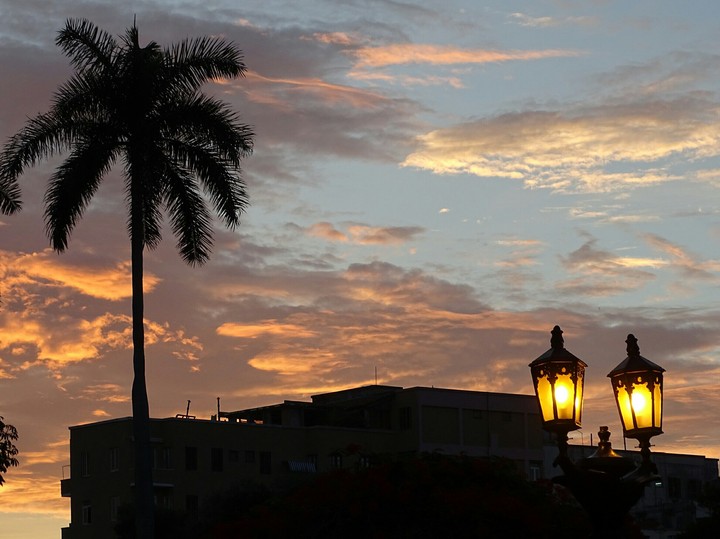 Palma Real