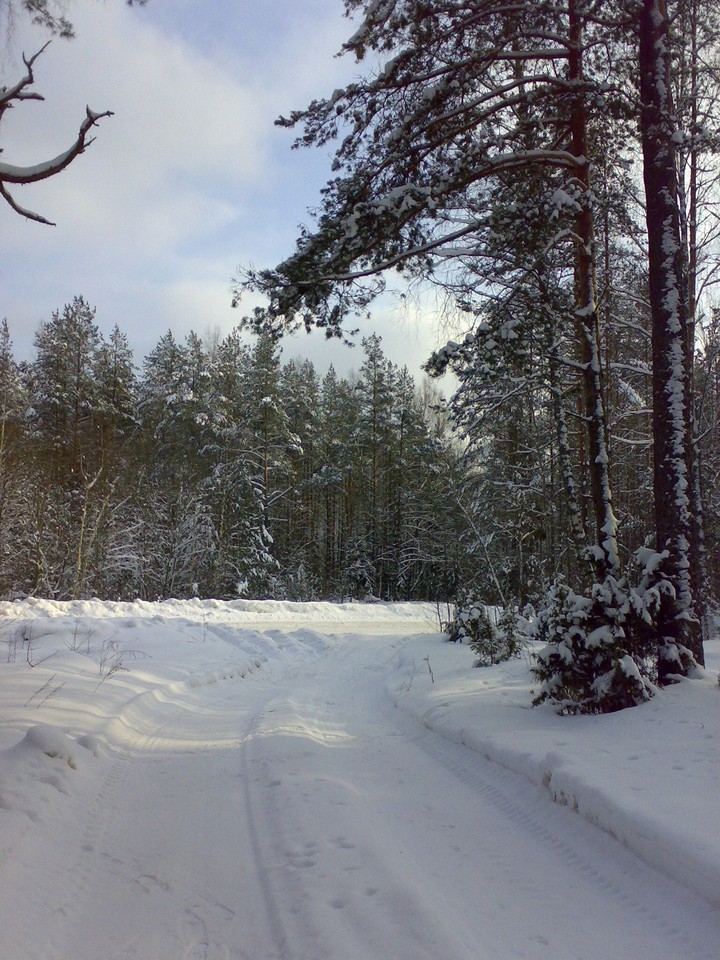The realm of winter