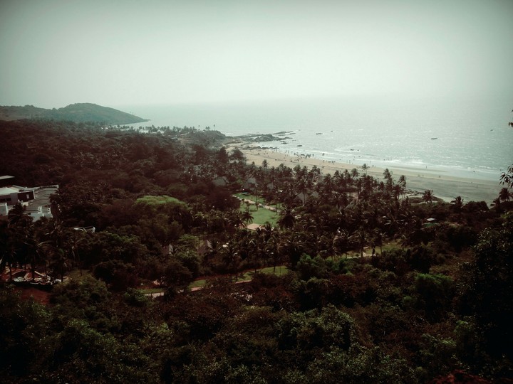 Beach view from hill