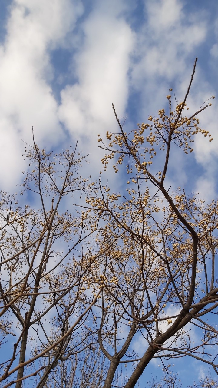 sky