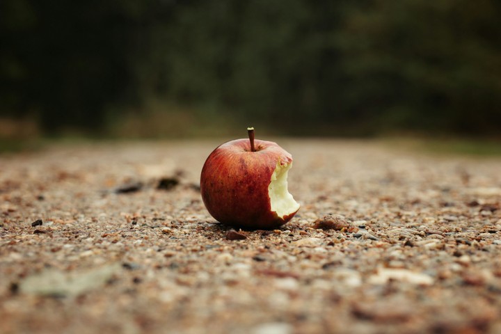 An Apple