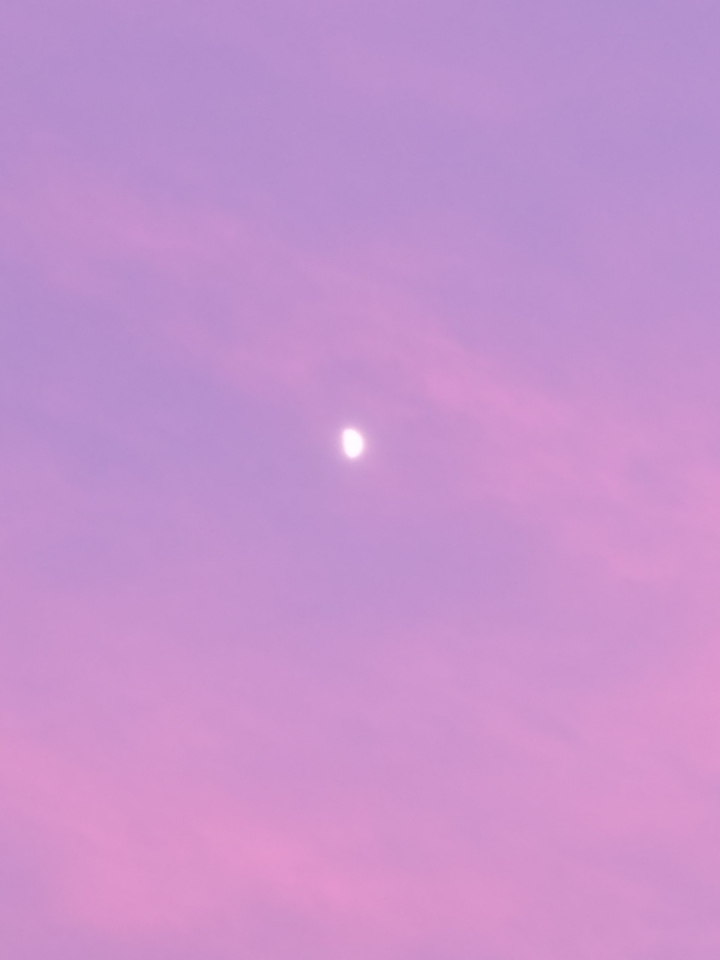 핑크빛 하늘에 작은달