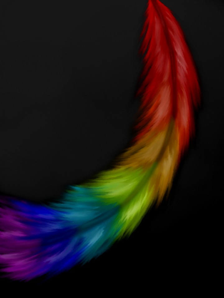 Rainbow feather