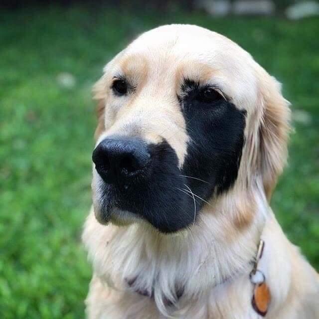 .
