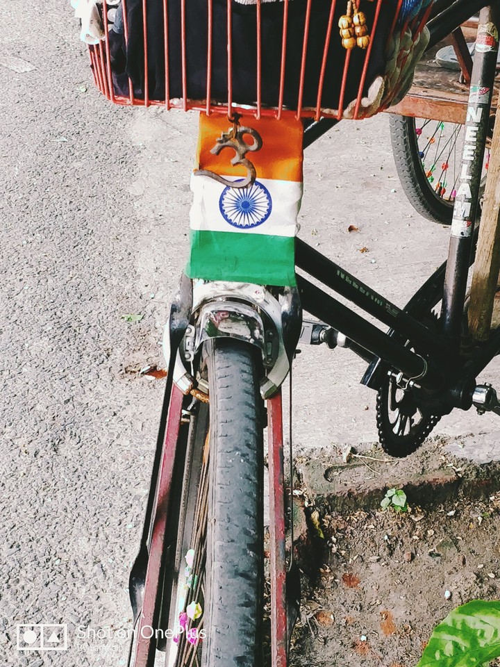 Indian Tri Color