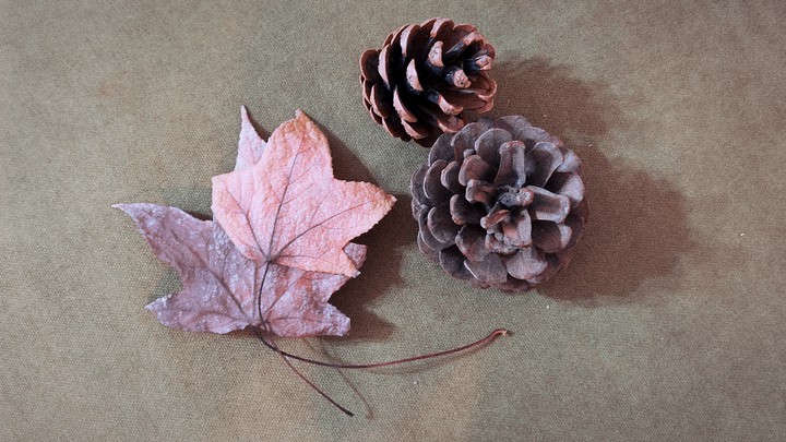 Good bye fall