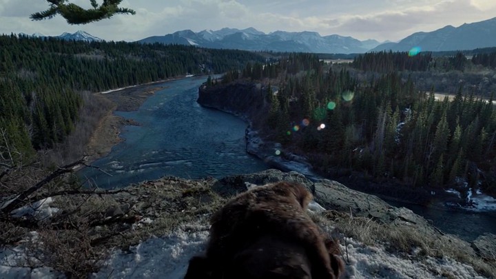 The Revenant