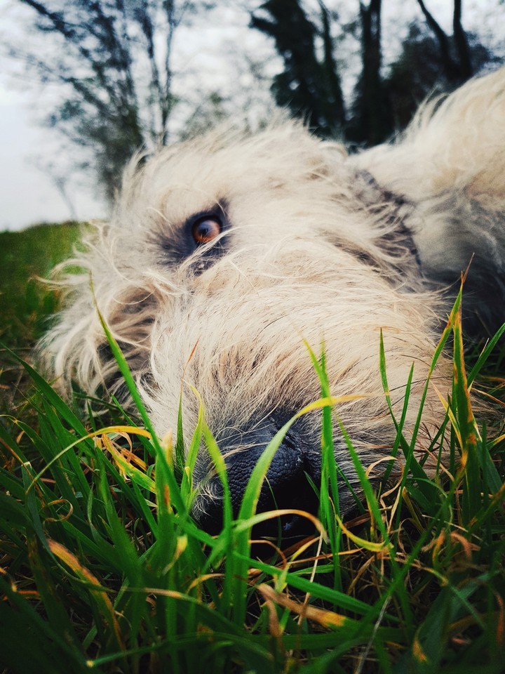 I can see you.