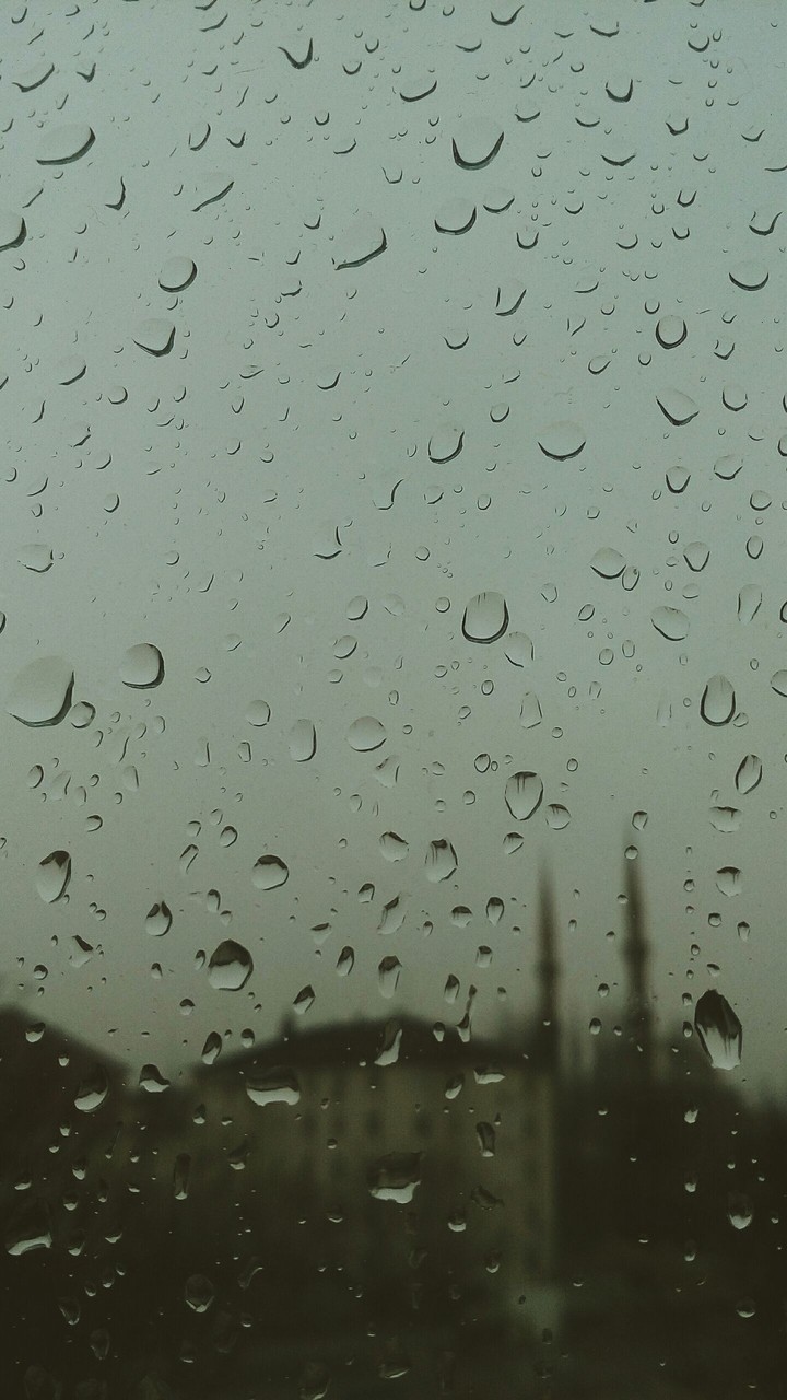rain.