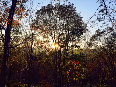 Autumn
