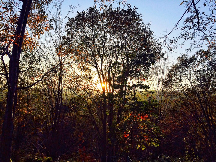 Autumn