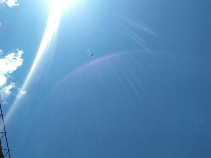 Dragonfly