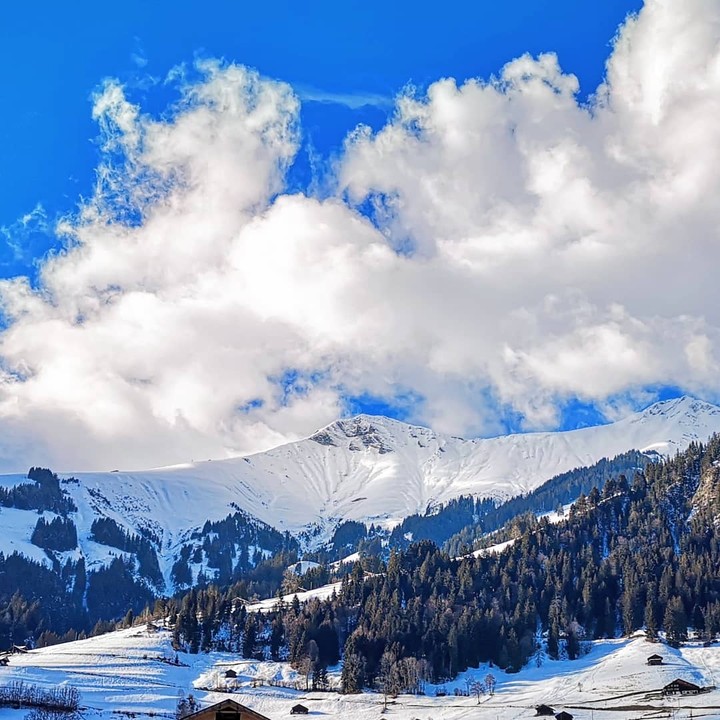 Mountains