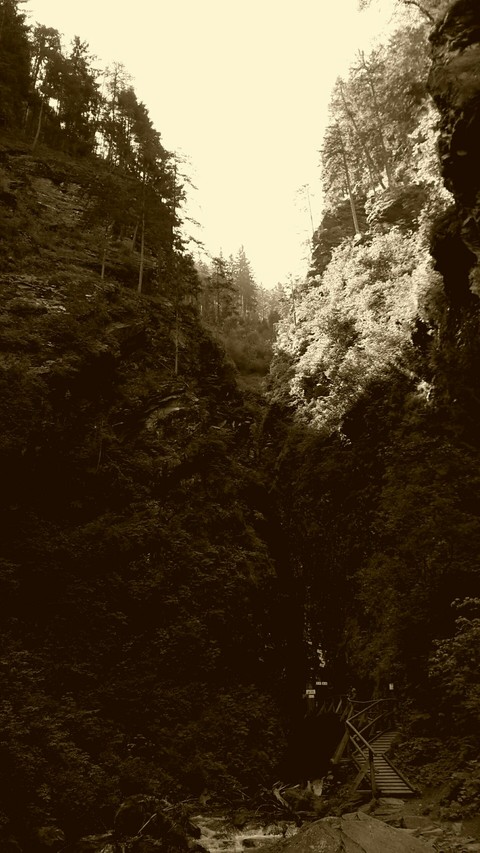 hills