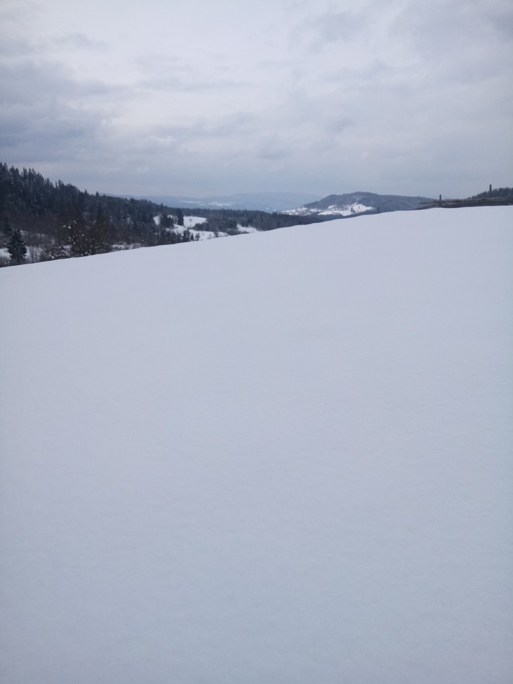 the first day of the spring but snow is the boss