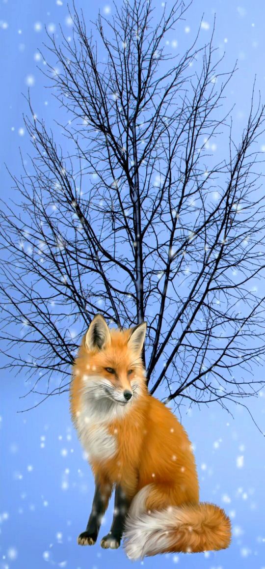 Nature.