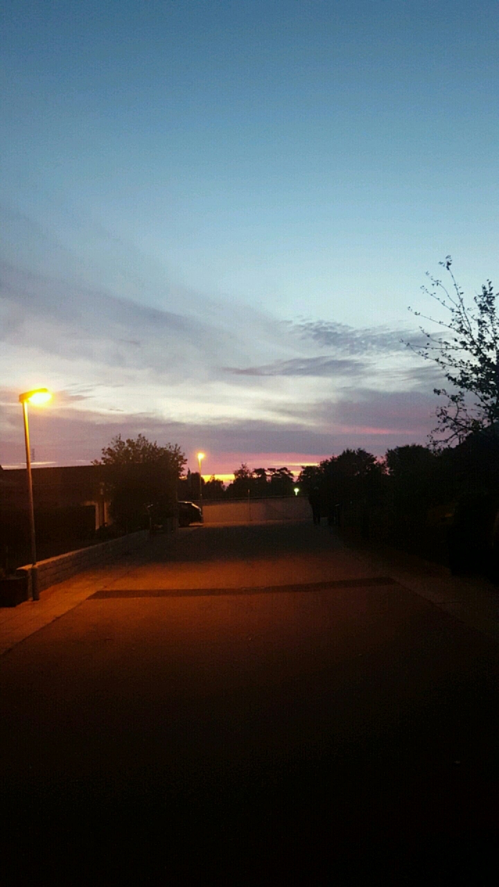 Early Morning