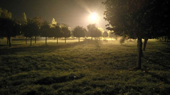 Tambov