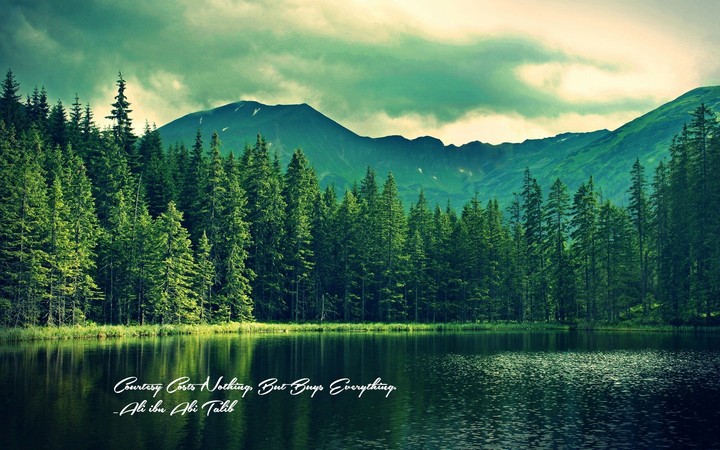 NATURE#SAYING#OF#IMAM#ALI