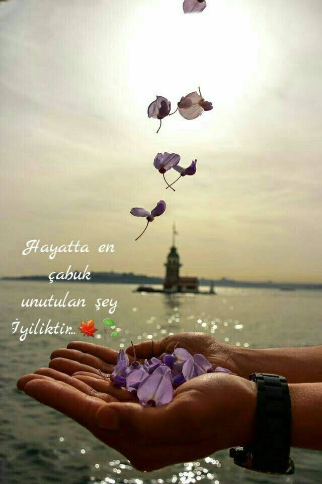 hayat....