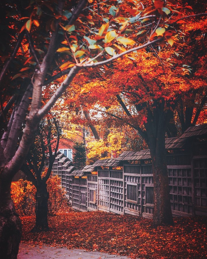 autumn
