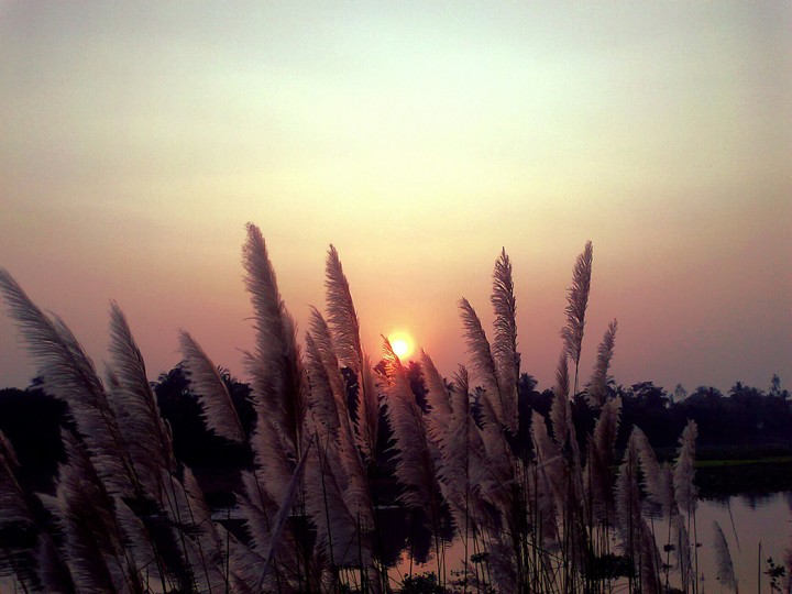 Last light