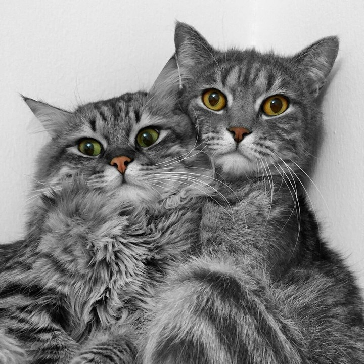 selfie