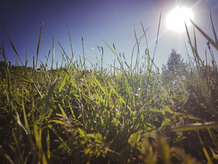 sunny days