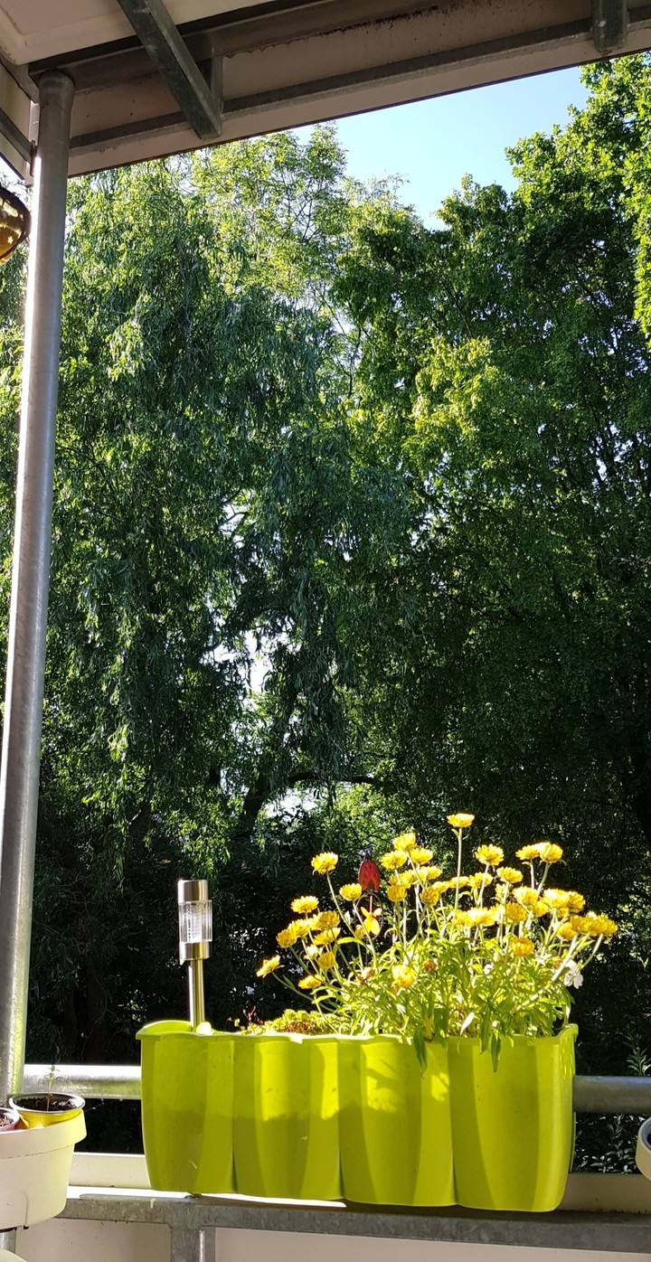 Balkon Aussicht